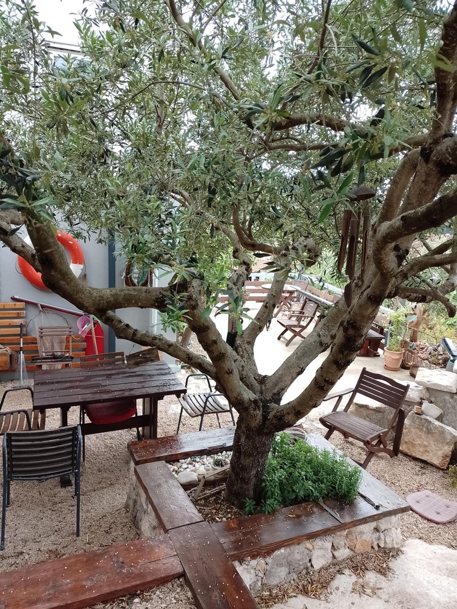 Roberto Apartment Bacina Екстер'єр фото